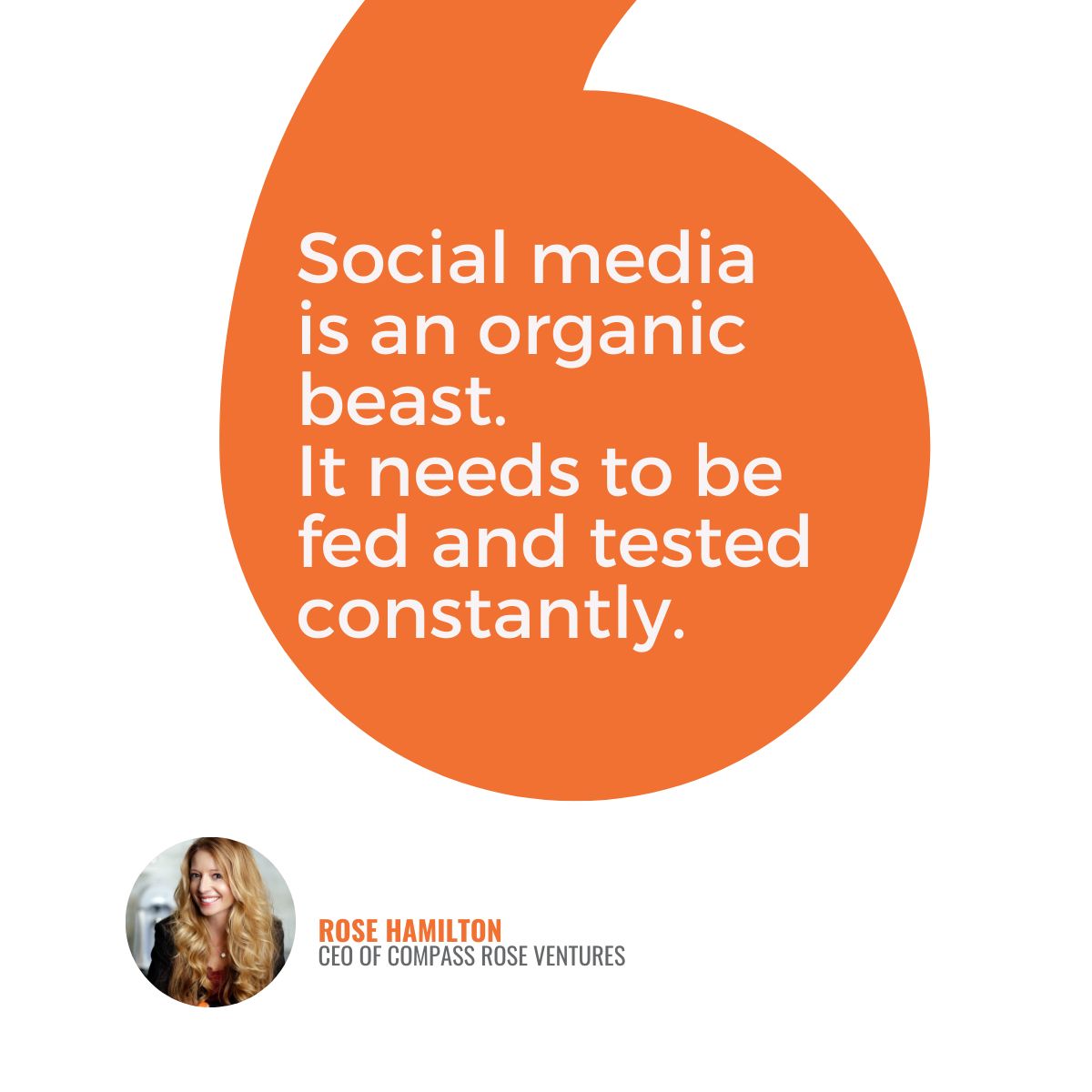 Navigating the Unpredictable: Organic Social Media Strategies for CPG Brands